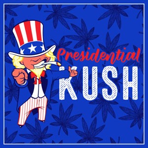 Presidential Kush cannabis strain