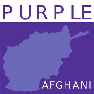 Purple Afghani cannabis strain
