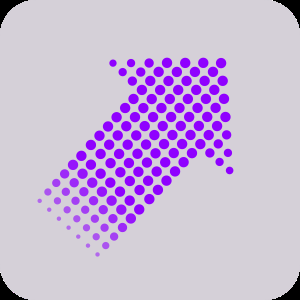 Purple Arrow cannabis strain