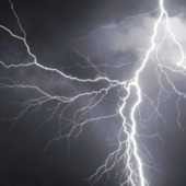 Rogue Thunder cannabis strain