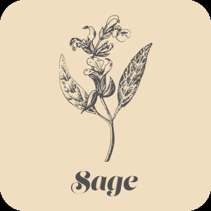 SAGE cannabis strain
