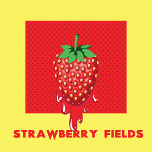 Strawberry Fields cannabis strain