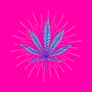 Swamp Thing cannabis strain