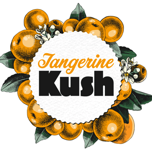 Tangerine Kush cannabis strain
