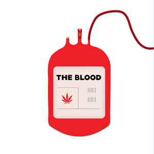 The Blood cannabis strain