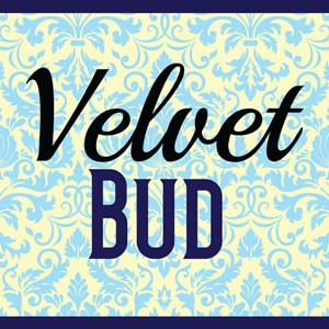 Velvet Bud cannabis strain