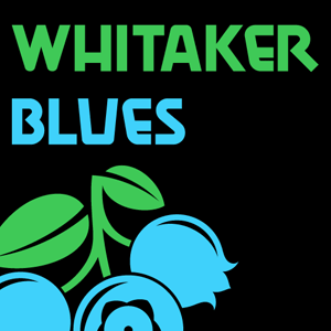 Whitaker Blues cannabis strain
