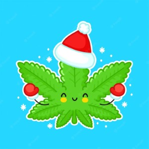 White Christmas cannabis strain