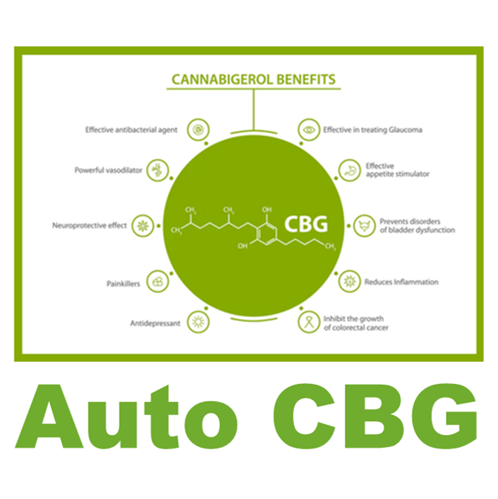 Auto CBG cannabis strain