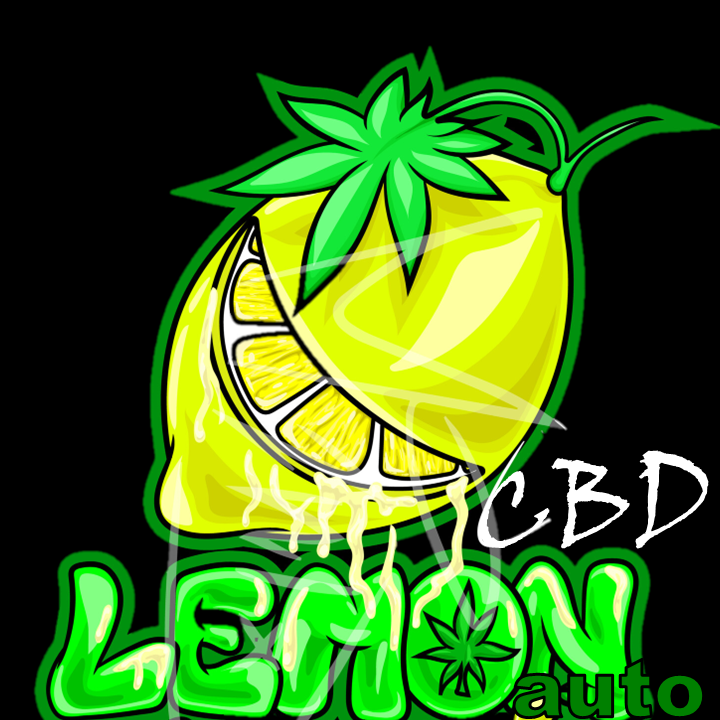 CBD Lemon Auto cannabis strain