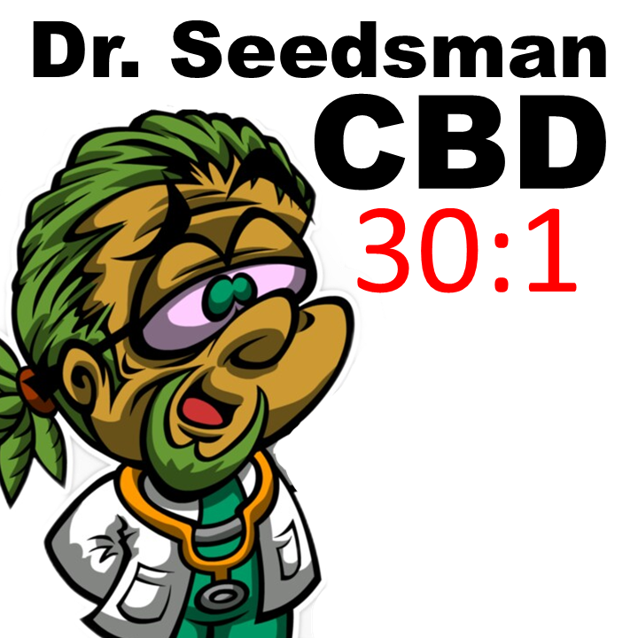 Doctor Seedsman CBD cannabis strain