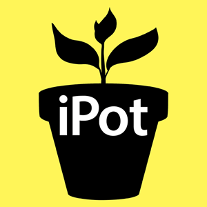 iPot cannabis strain