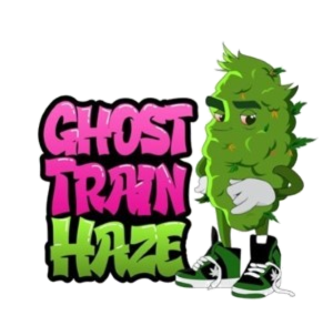 OG X Ghost Train Haze cannabis strain