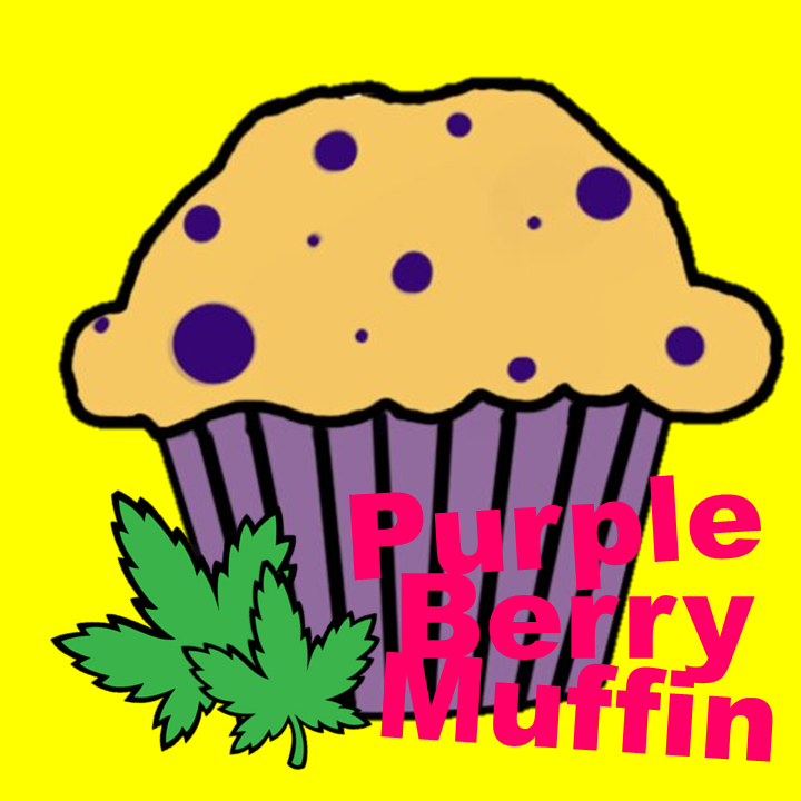 Purple Berry Muffins cannabis strain