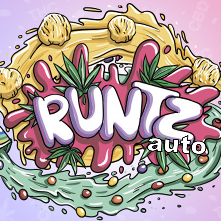 Runtz Auto cannabis strain