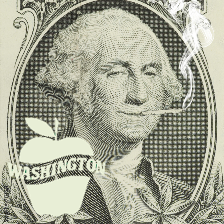 Washington Apple cannabis strain