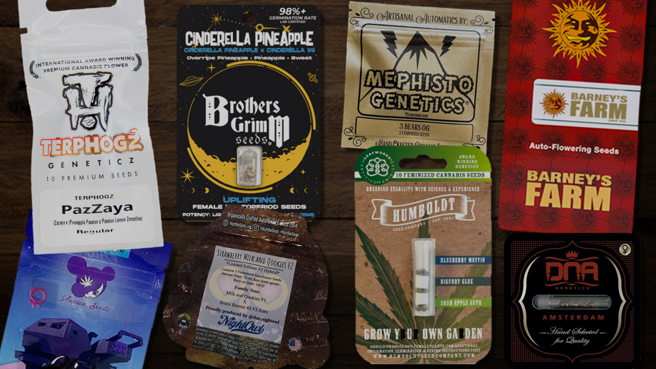 Seed packs